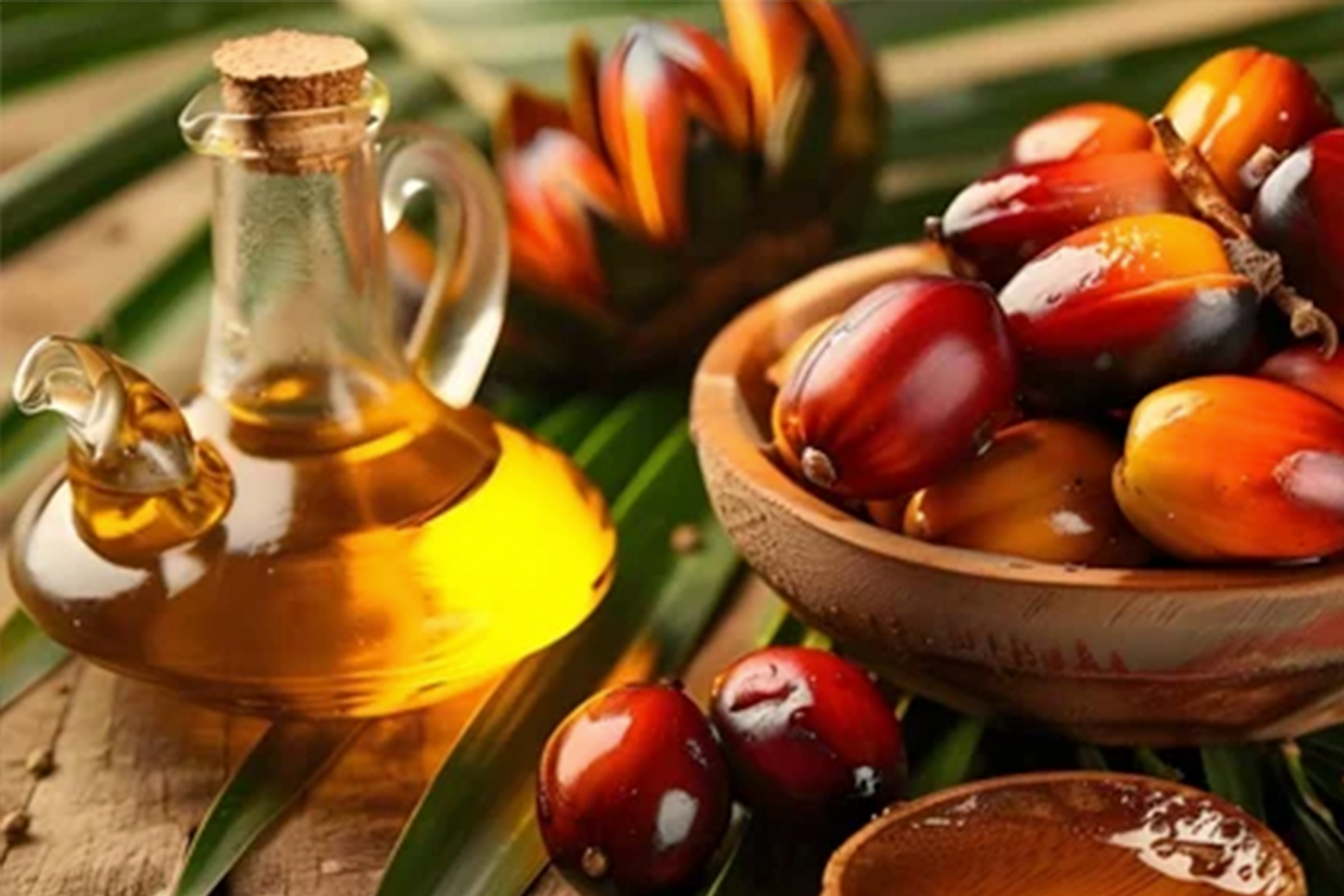 Palm Oil