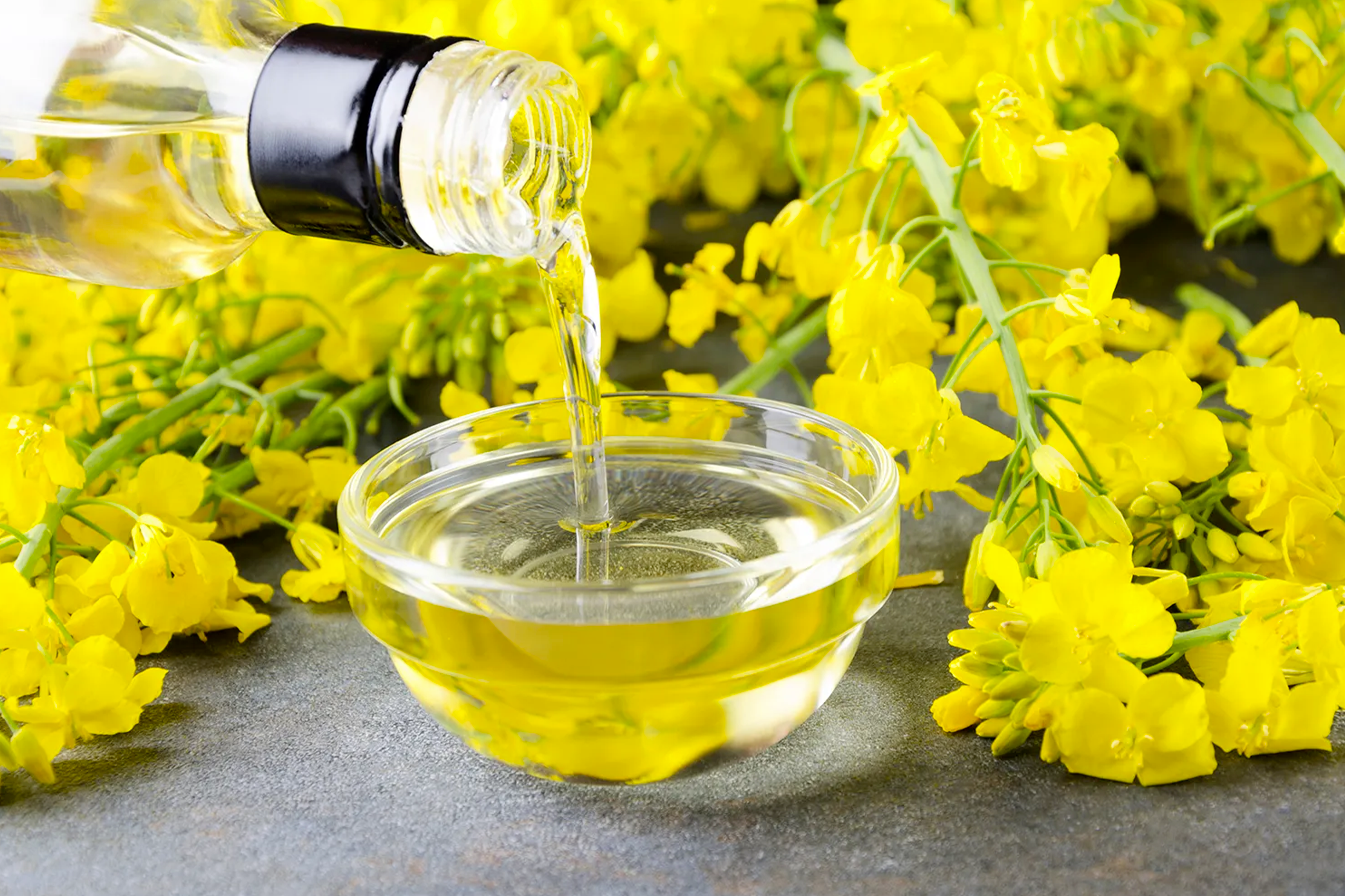 Rapeseed oil