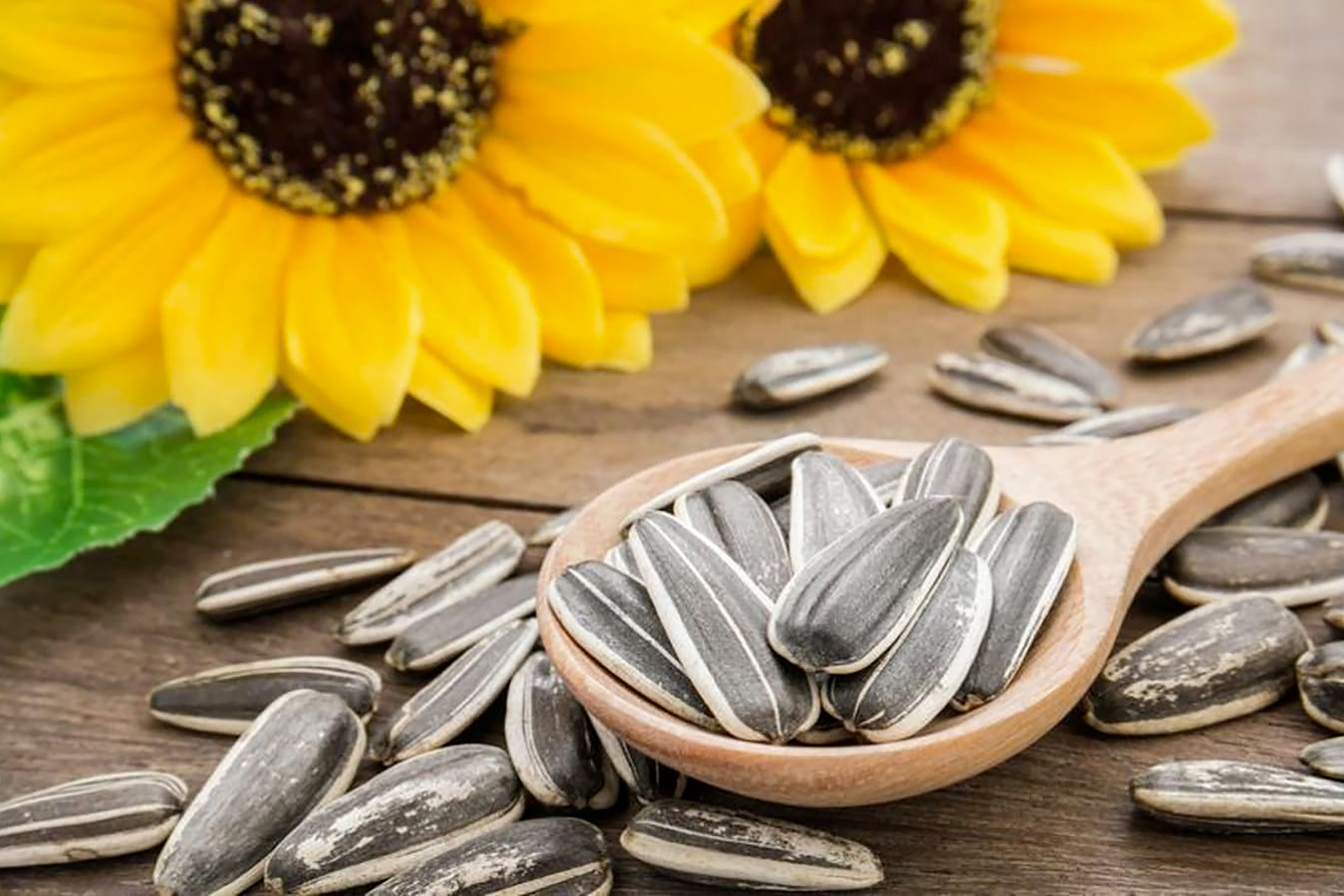 Sunflower Seeds