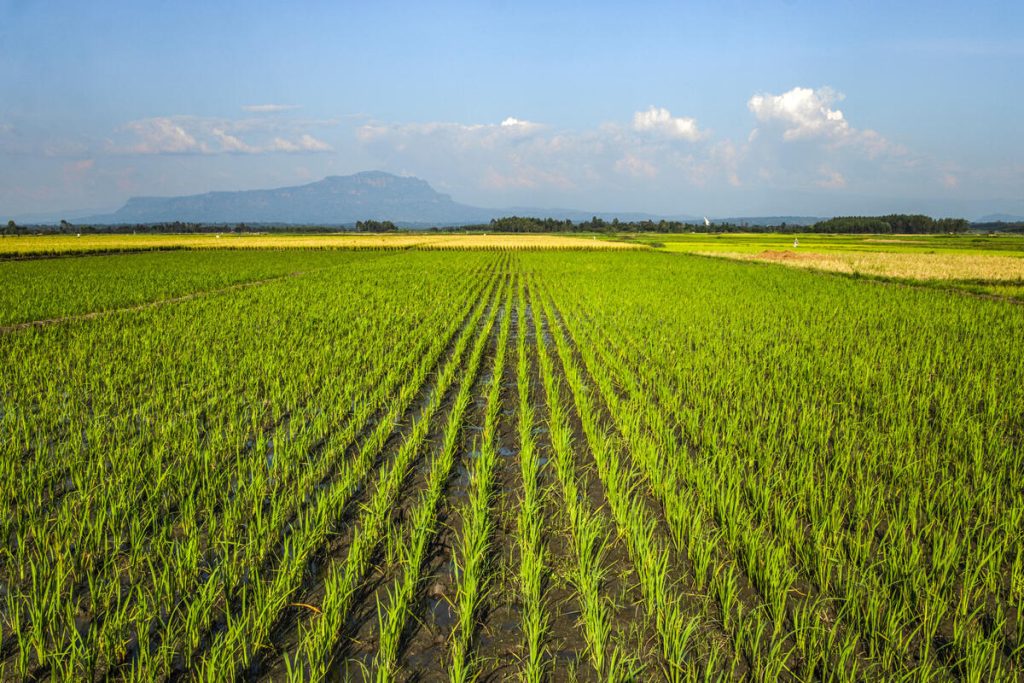 fpiuf18yb4 25193 0126