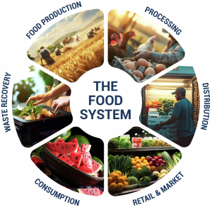 soft-food-shipping-guide 1 f